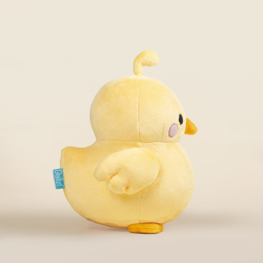 Chicki the Chick