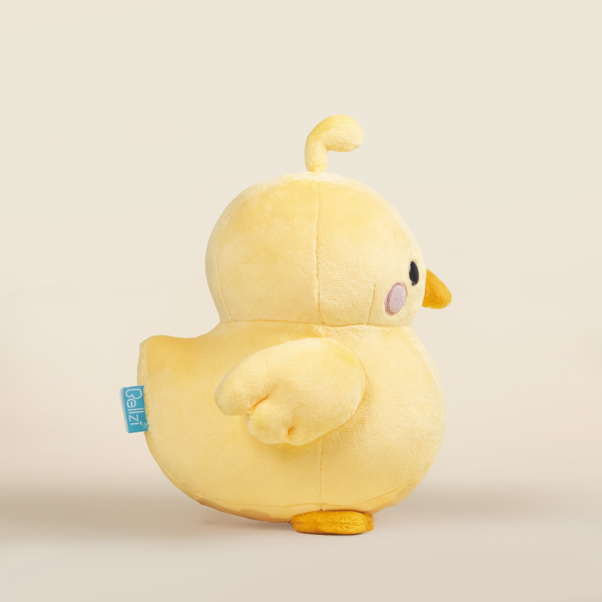 Chicki the Chick