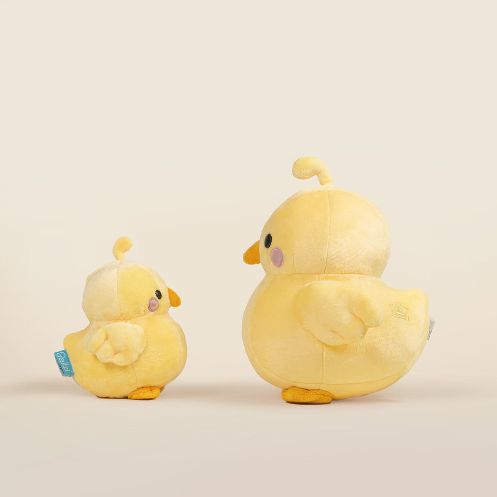 Mini Chicki the Chick