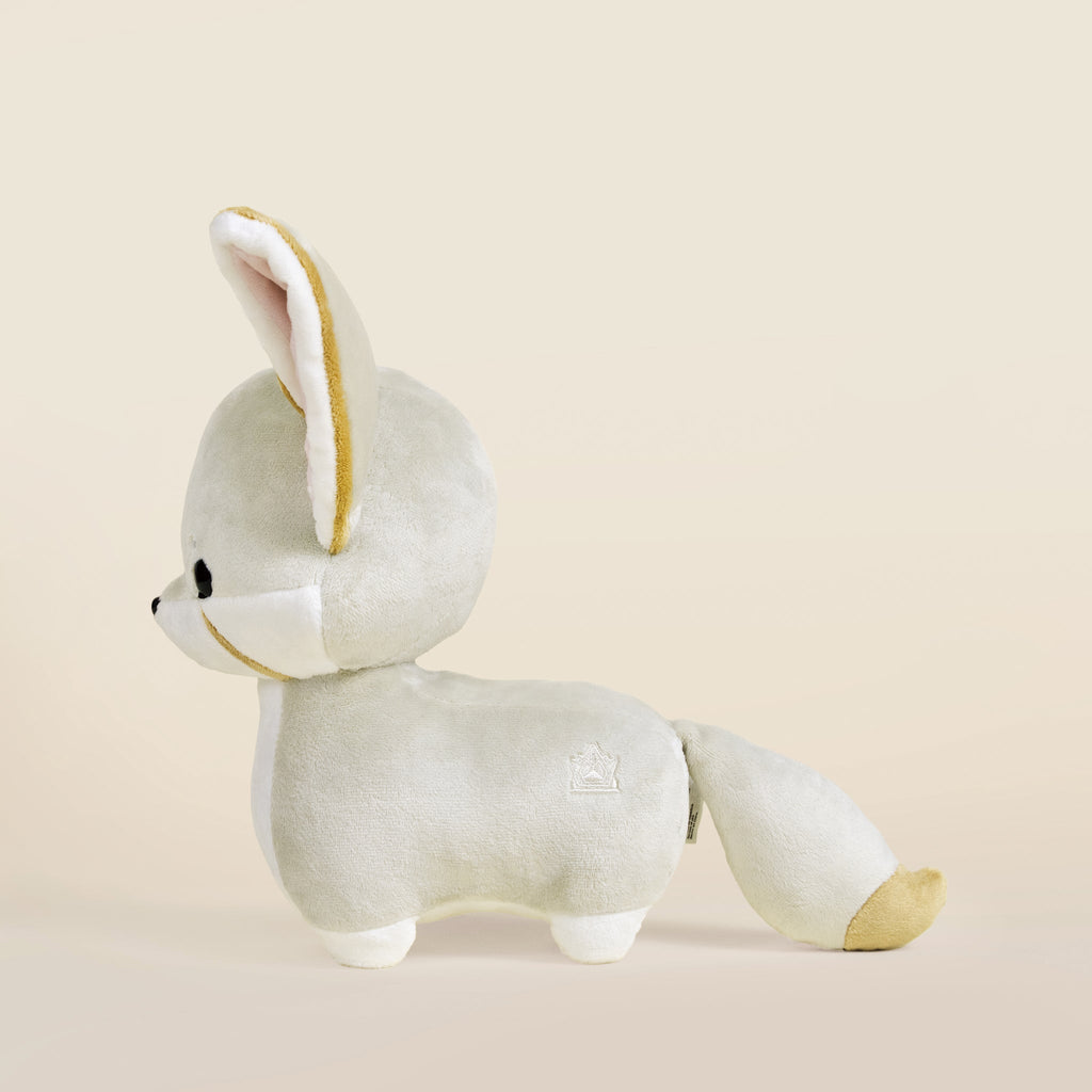 Fenni the Fennec Fox