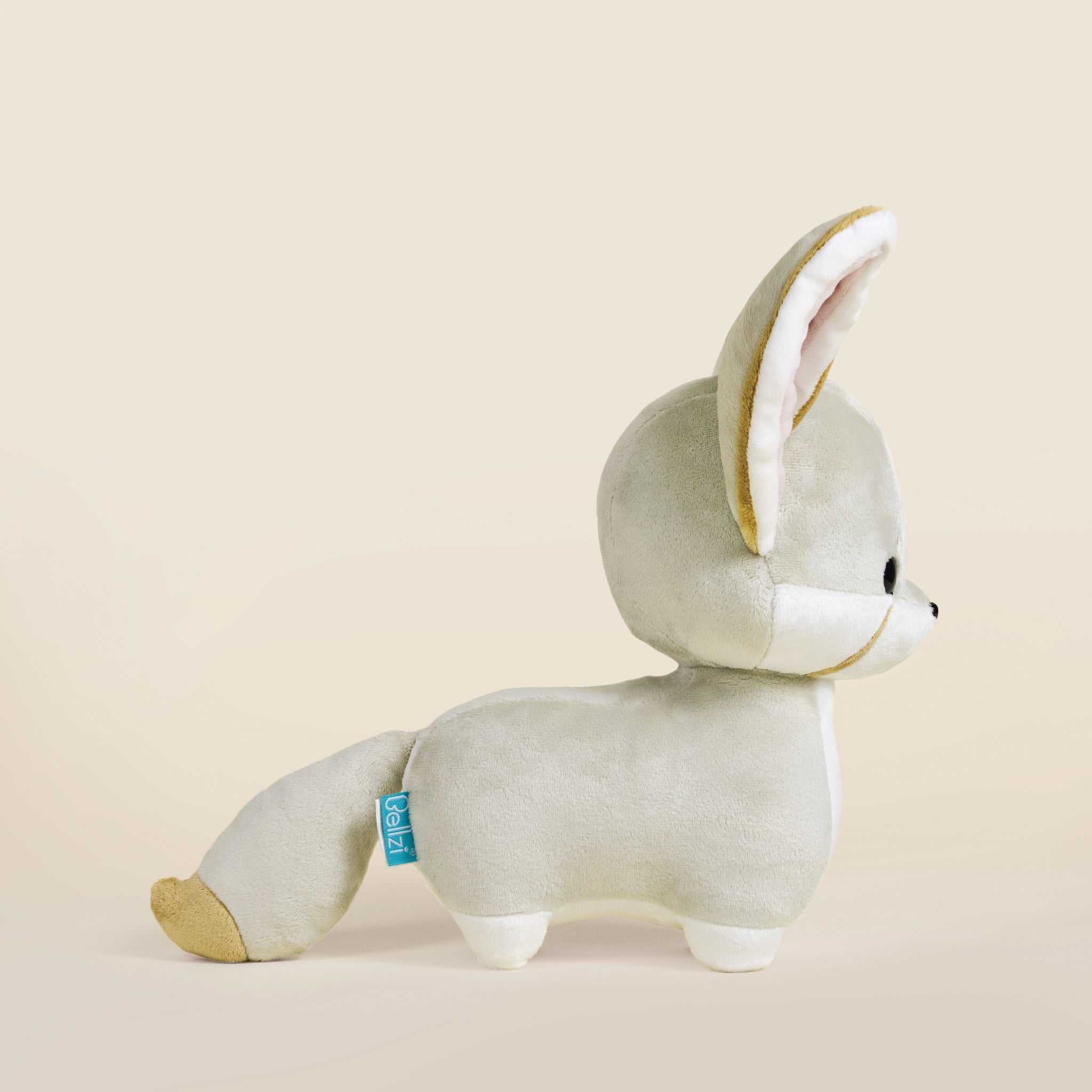 Fenni the Fennec Fox