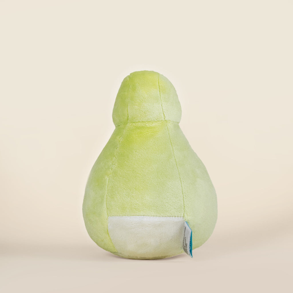 Mini Kii the Kiwi