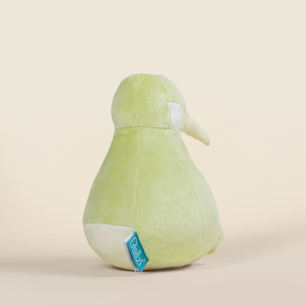 Mini Kii the Kiwi