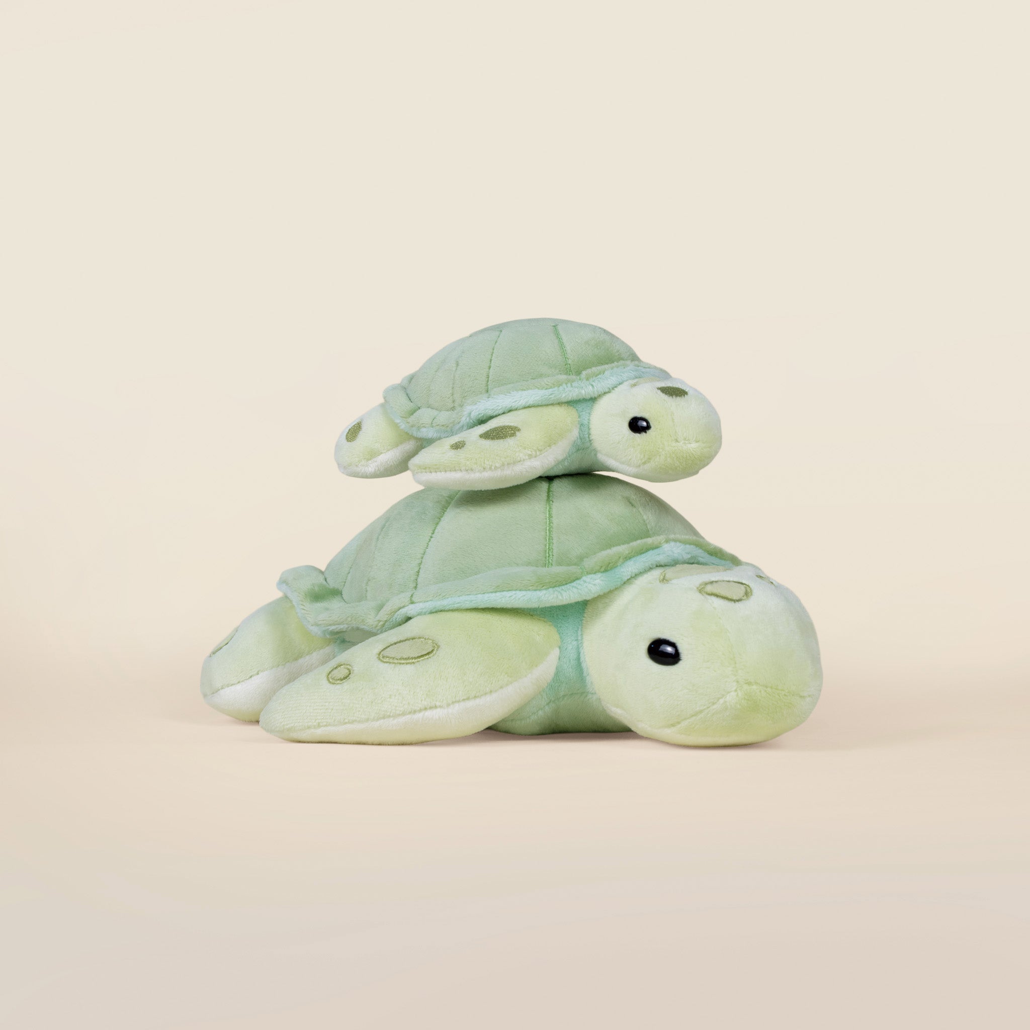Sea Torti the Sea Turtle