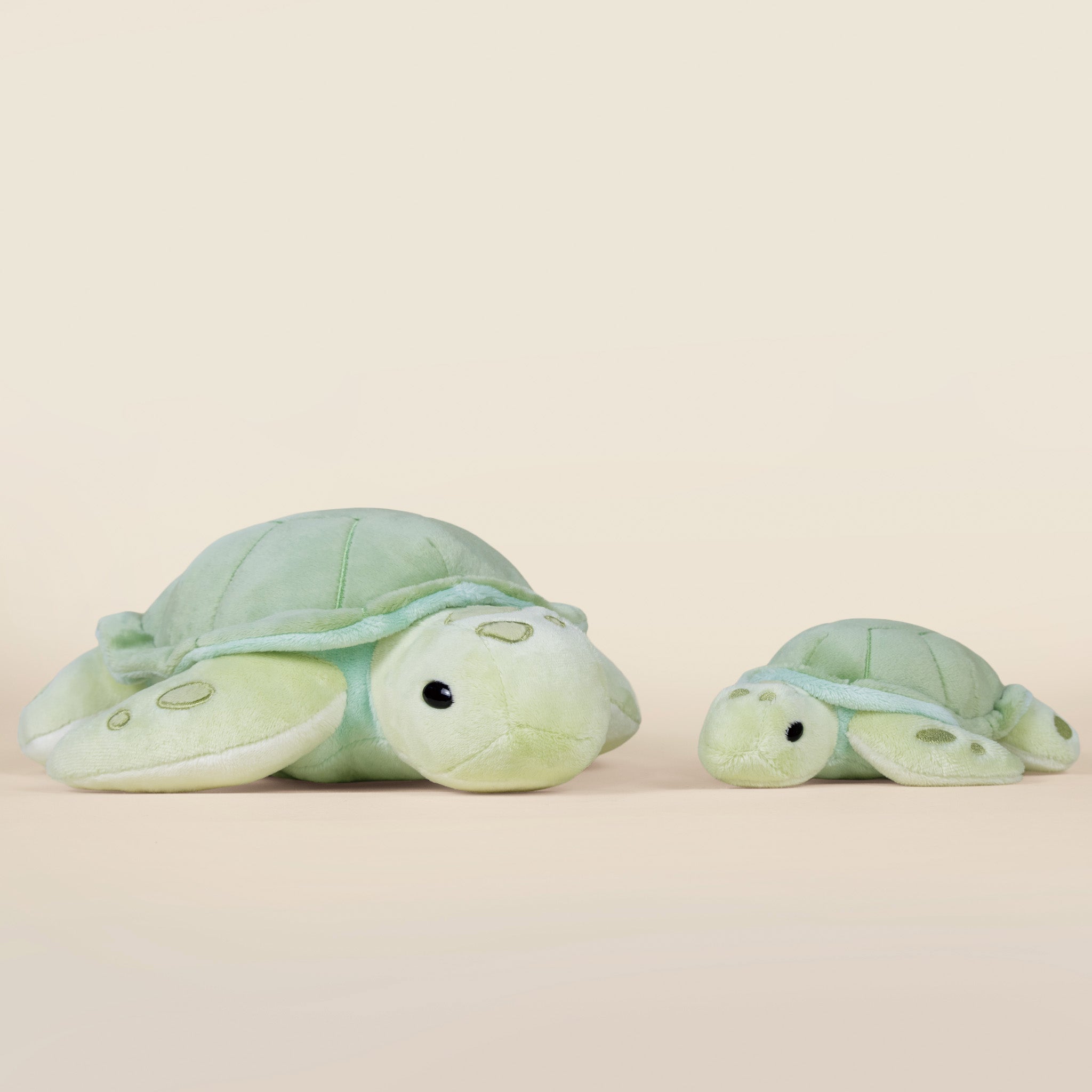 Mini Sea Torti the Sea Turtle
