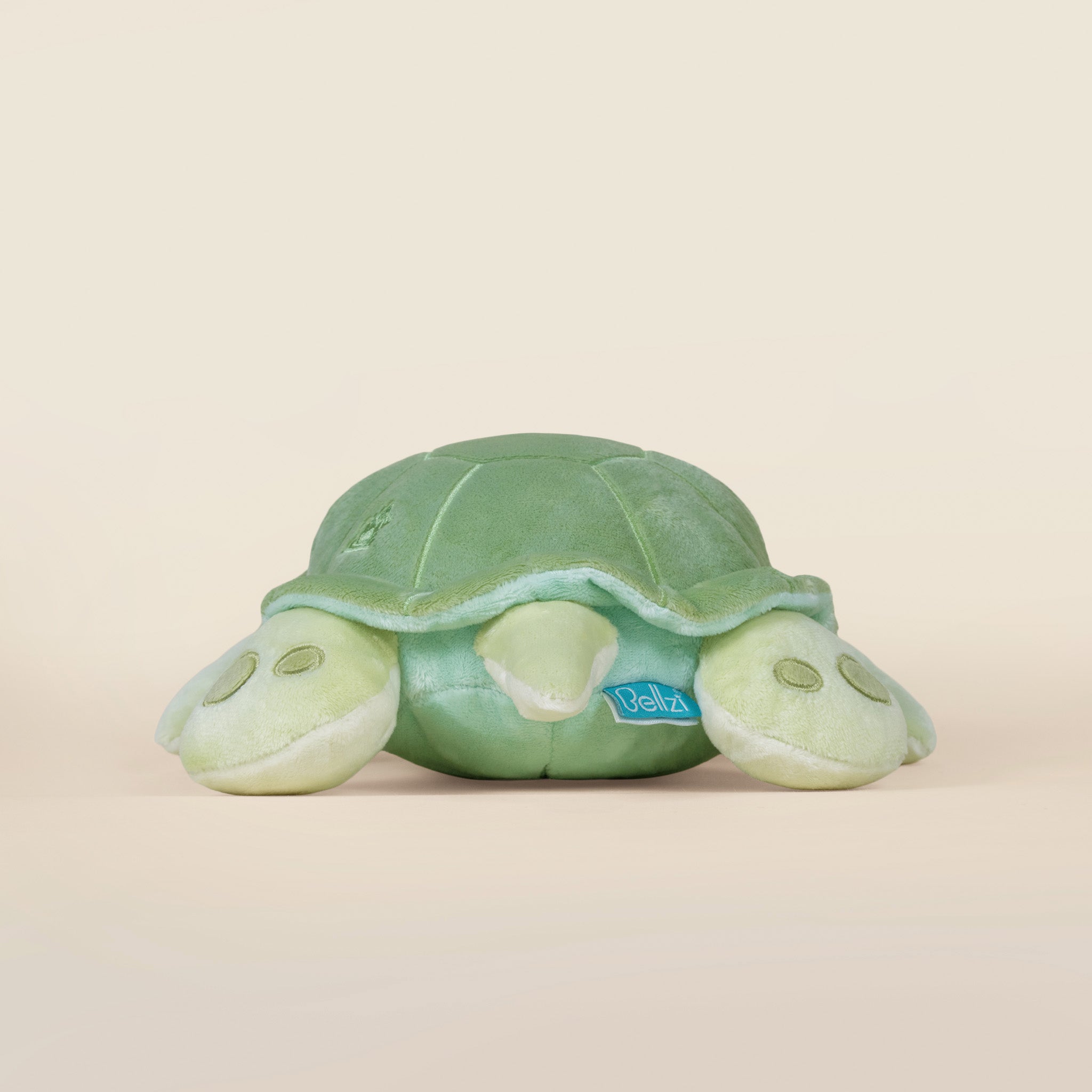 Sea Torti the Sea Turtle