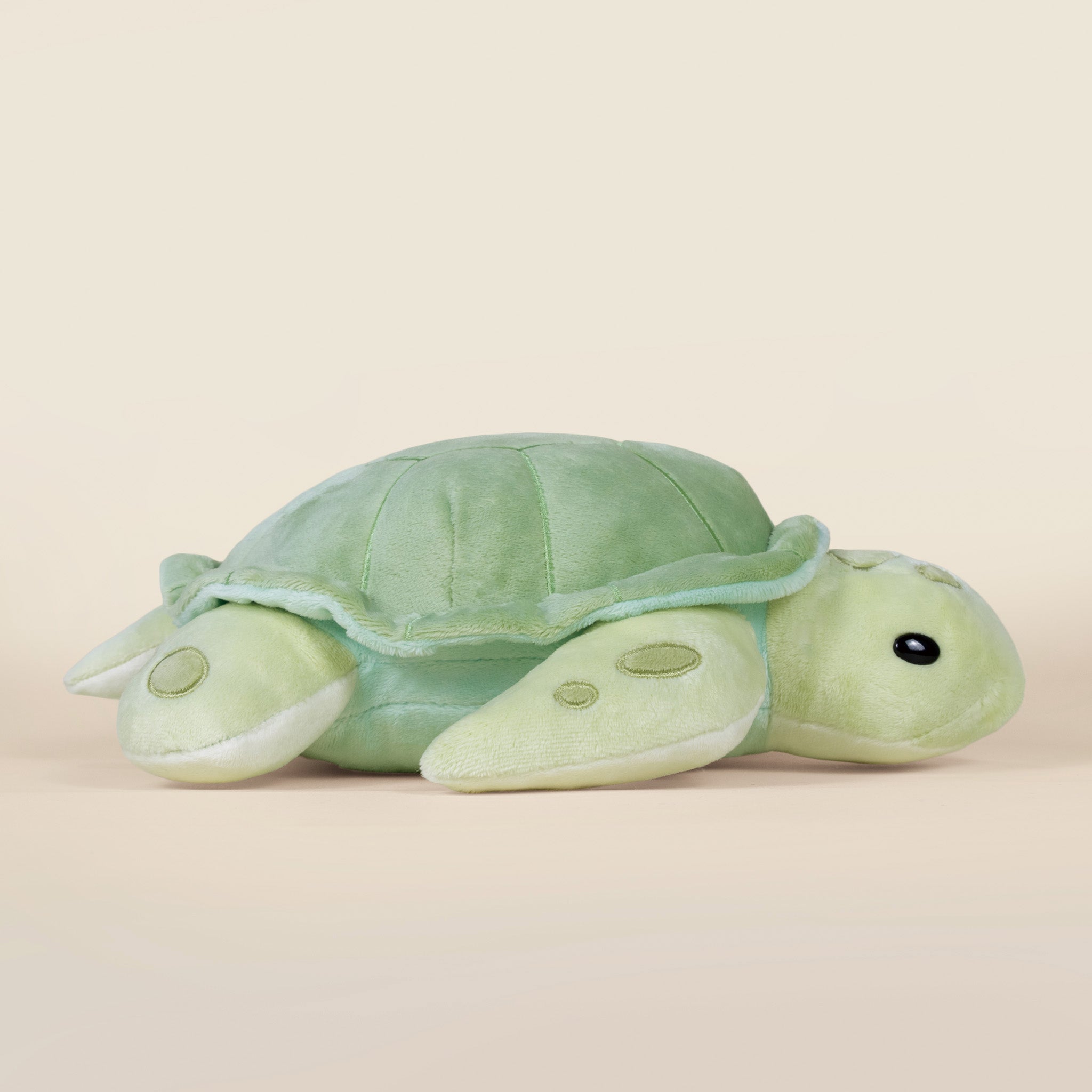 Sea Torti the Sea Turtle