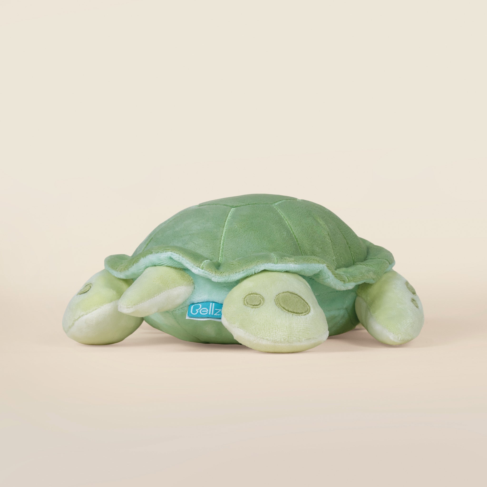 Sea Torti the Sea Turtle