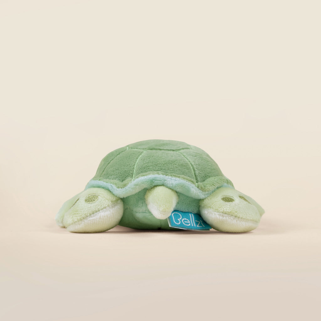 Mini Sea Torti the Sea Turtle