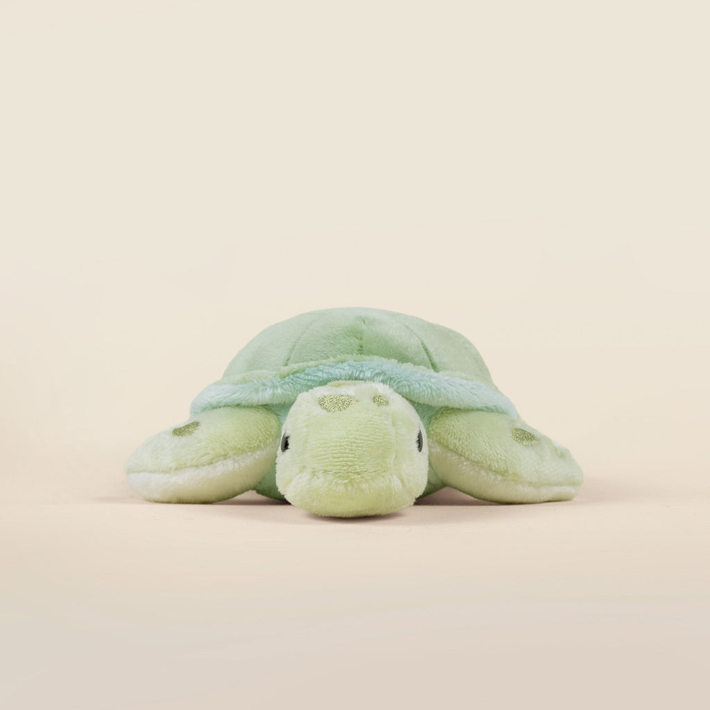 Mini Sea Torti the Sea Turtle