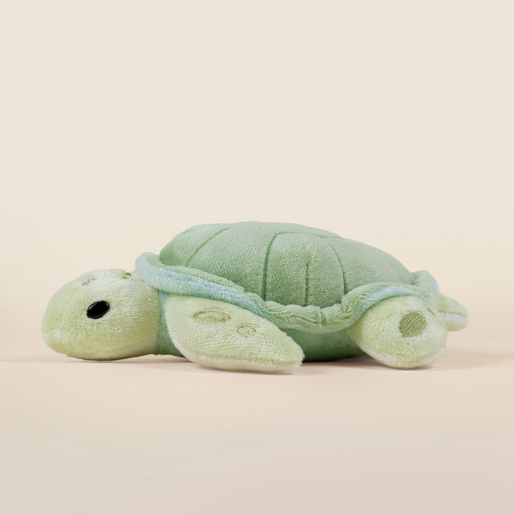 Mini Sea Torti the Sea Turtle