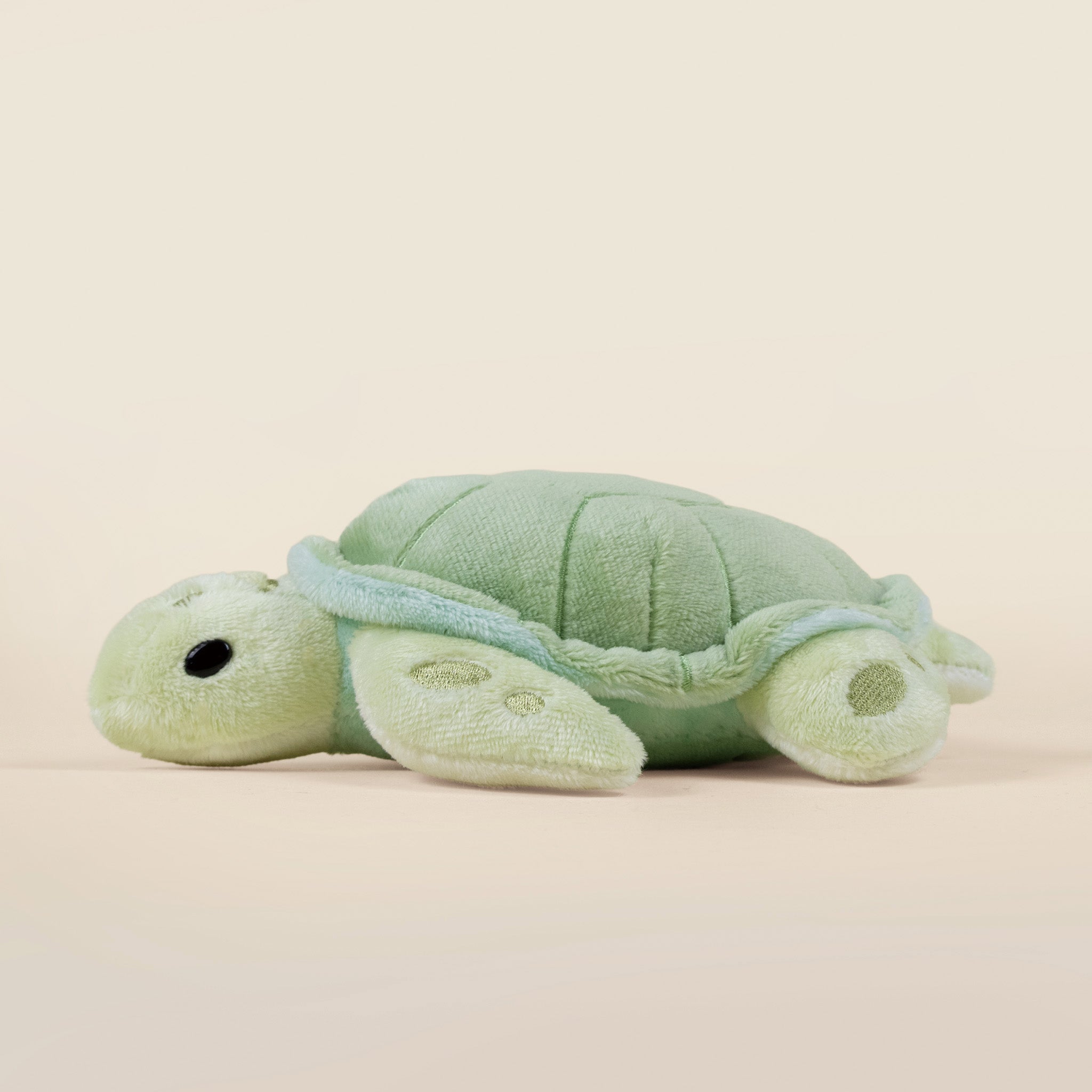Mini Sea Torti the Sea Turtle
