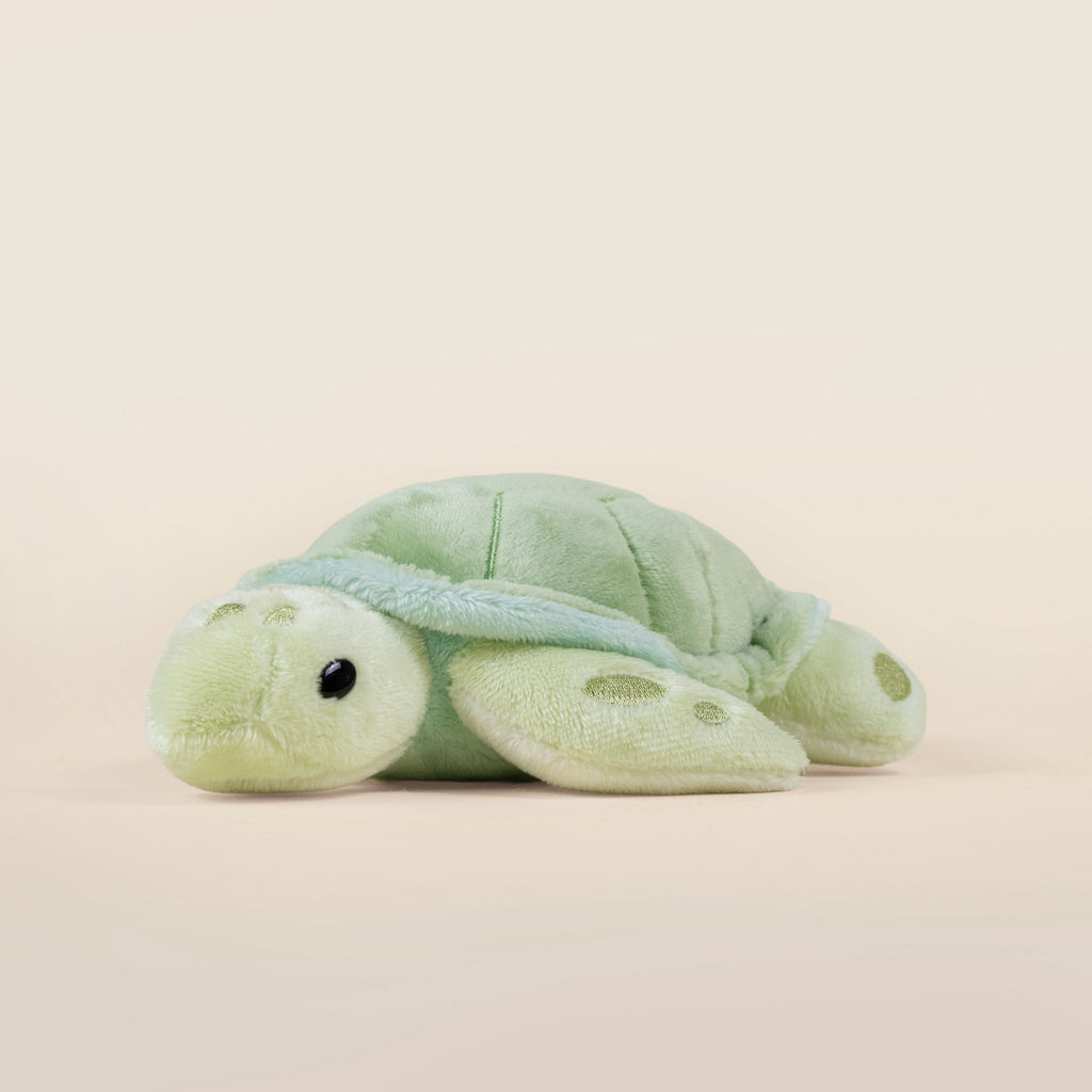 Mini Sea Torti the Sea Turtle