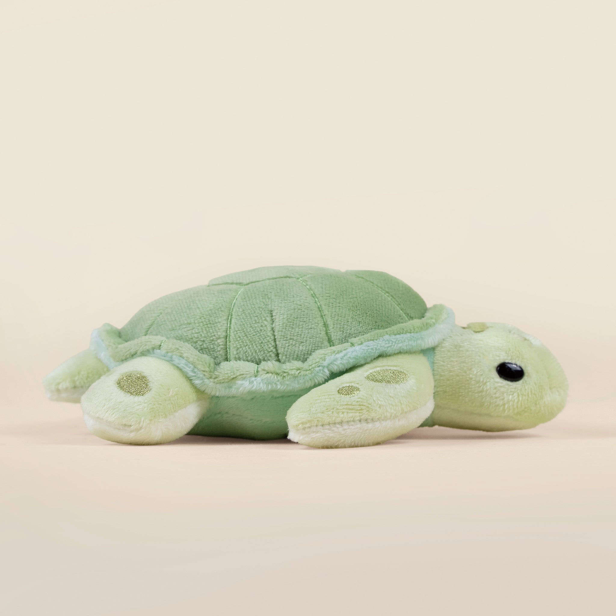 Mini Sea Torti the Sea Turtle