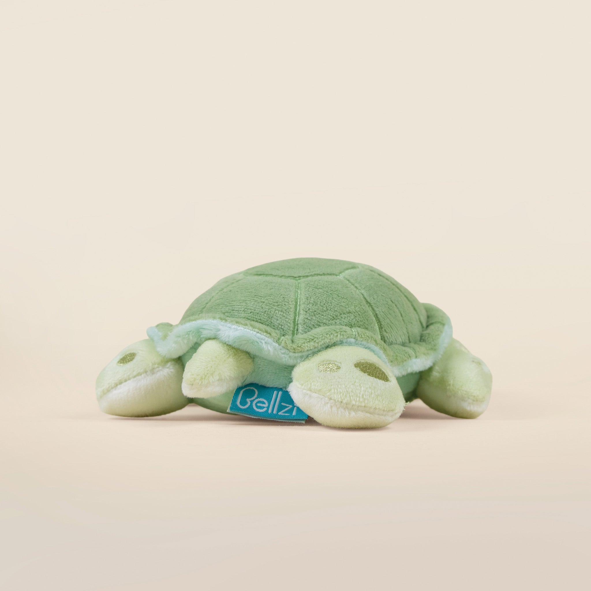 Mini Sea Torti the Sea Turtle